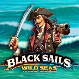 Try Black Sails Wild Seas slot by Infinity Dragon Studios on granawincasinoo.com – logo image